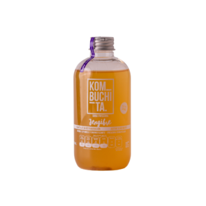 KOMBUCHITA JENGIBRE 240 ML