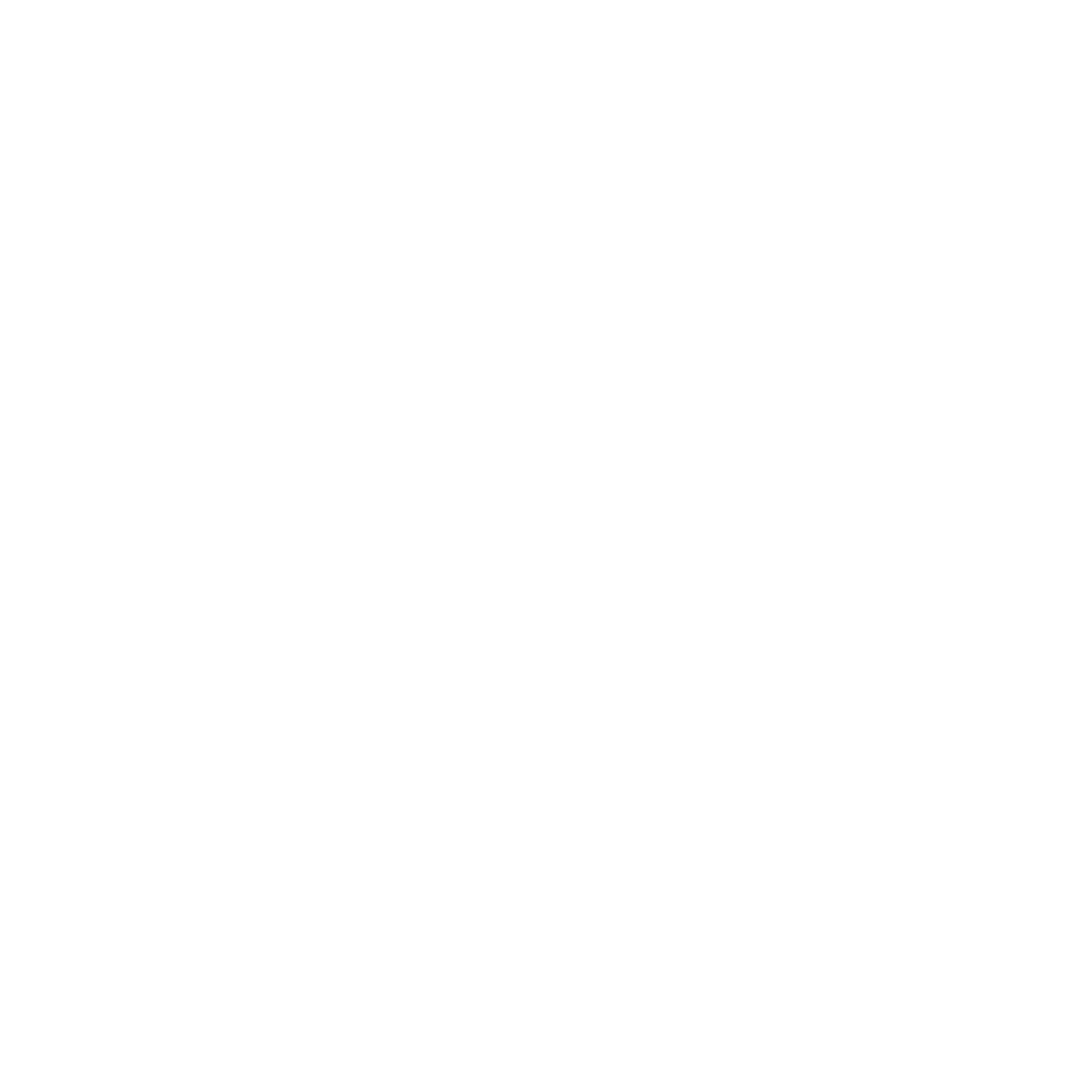 MNMS LOGO